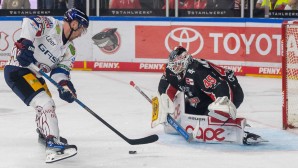 eisbaeren-berlin-1600