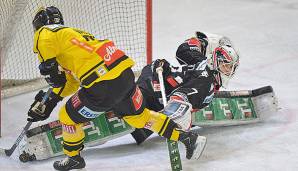 Vienna Capitals