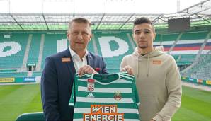 Dejan Petrovic kommt zu Rapid.