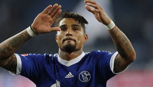 Boateng ist nach wie vor der unumstrittene Leitwolf in einer stärker werdenden Schalker Mannschaft