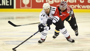 Garrett Festerling wird den Hamburg Freezers voraussichtlich acht Wochen fehlen