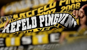 Die Krefeld Pinguine binden Nick St. Pierre bis 2018 an den Klub