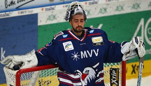 Adler Mannheim sind mit einer Niederlage gestartet