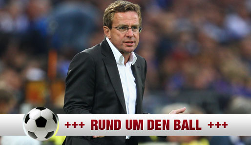 Ralf Rangnick könnte kommende Saison an der White Hart Lane auf der Bank sitzen