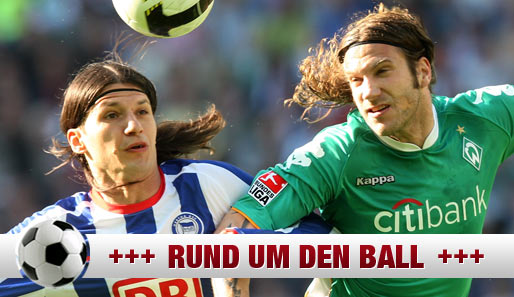 Werder Bremen (rechts Torsten Frings) ist angeblich an Berlins Marko Pantelic interessiert