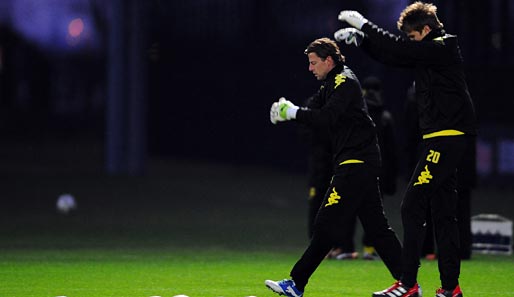 Roman Weidenfeller (l.) fällt aus - Mitchell Langerak springt für ihn ein