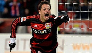 Javier Hernandez begeisterte in der Hinrunde mit vielen Toren