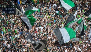 Die Fans von Borussia Mönchengladbach können sich auf einige Neuverpflichtungen freuen