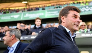 Dieter Hecking wird angeblich neuer Gladbach-Coach