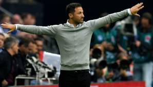 Domenico Tedesco übernahm das Traineramt bei Schalke 04 im Sommer von Markus Weinzierl