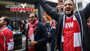 Beide Tipper prognostizieren: Köln holt endlich einen Sieg!