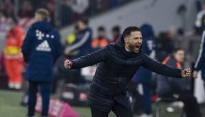 Huub Stevens ist begeistert von Domenico Tedesco beim FC Schalke 04.