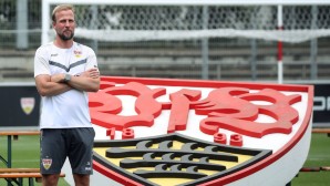 hoeness-vfb-wappen-1600