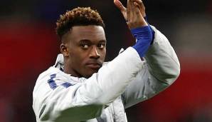 Callum Hudson-Odoi steht beim FC Bayern auf dem Wunschzettel