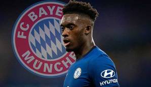 Ein Wechsel von Callum Hudson-Odoi zum FC Bayern München platzte erneut.