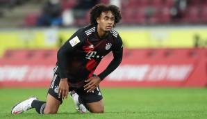 FC Bayern MÜnchen, Joshua Zirkzee, 1. FC Köln, Leihe, Transfer