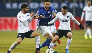 Hertha BSC gegen den FC Schalke 04 im LIVETICKER auf spox.com