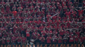 vfb-fans-1600