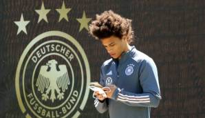 sane-dfb