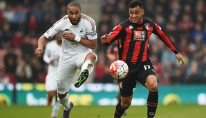 Ashley Williams ist sowohl bei Swansea als auch in der walisischen Nationalmannschaft Kapitän