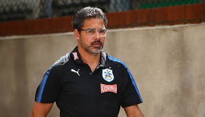 David Wagner über die Premier League