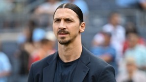 Ibrahimovic Milan