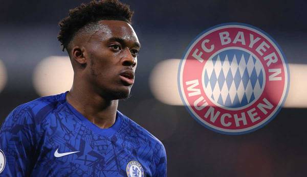 Callum Hudson-Odoi ist beim FC Bayern offenbar wieder ein Thema.