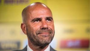 Peter Bosz übernahm diese Saison das Traineramt bei Borussia Dortmund