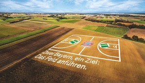 So sieht das Rekord-Feld aus