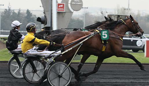 Beim Prix Ozo in Paris-Vincennes ist ein Drittel der Teilnehmer von Trainer Philippe Allaire