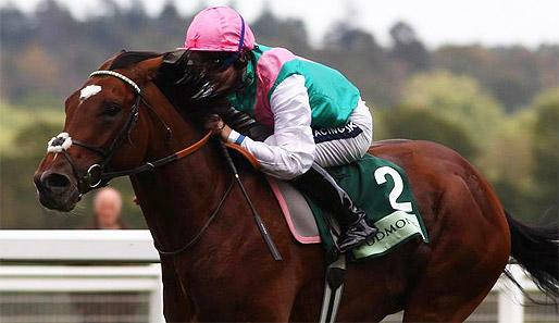 Bei den Sussex Stakes in Goodwood kommt es zum Duell Frankel gegen Canford Cliffs