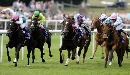 In Deauville steht heute der Prix Minerve auf dem Programm