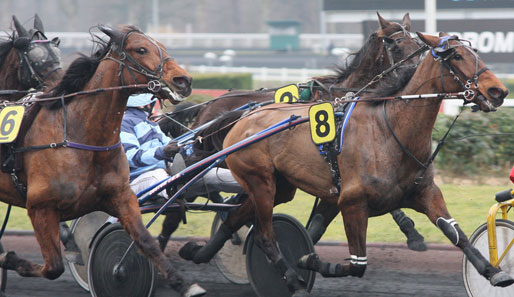 Als klassische Siegerin des Prix Albert Viel meldet Une Lady en Or ersten Siegchancen an