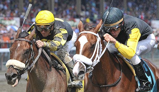 Spannende Rennen bekommen die Zuschauer heute in Saratoga zu sehen