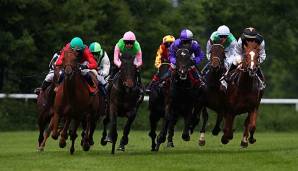 12.844 Siege: Brasilianischer Jockey Jorge Antonio Ricardo stellt Weltrekord ein.