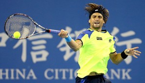 David Ferrer hat sein Ticket für das Masters in London gelöst