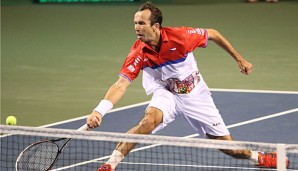 Radek Stepanek sicherte gemeinsam mit Lukas Rosol den Sieg im Doppel