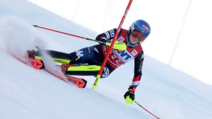 shiffrin-1600