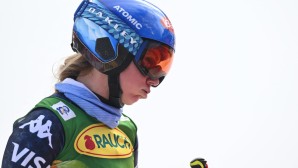 shiffrin-1600