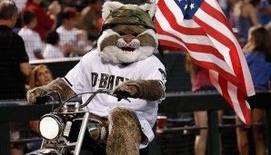 Bernie the Bobcat - Arizona Diamondbacks (MLB): Wie jetzt? D-backs sind doch Klapperschlangen? Richtig, aber als ihr Stadion, Chase Field, eröffnet wurde, hieß es Bank One Ballpark, kurz: The BOB. Daher ist Bernie ein Bobcat!