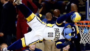 Boomer - Indiana Pacers (NBA): Hierbei handelt es sich um eine lebhafte Katze, die gerne auch als "Pacers Panther" bezeichnet wird