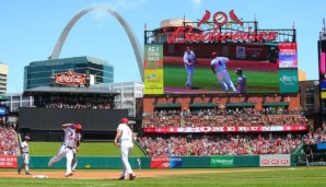 Cardinals-Catcher Yadier Molina (l.) bejubelt einen Homerun gegen die Cardinals