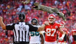 Travis Kelce, sein Handtuch und ein Eichhörnchen waren die Stars von Week 9