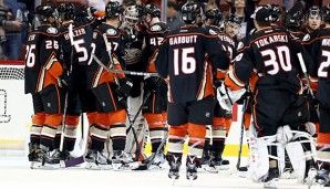 Die Ducks sind auf Playoff-Kurs